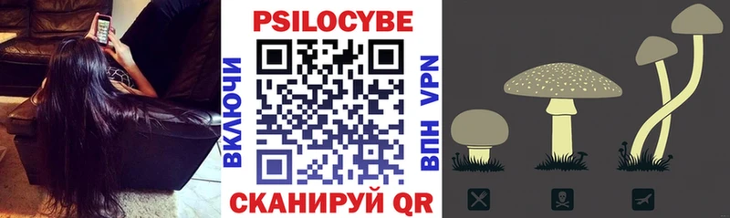 Псилоцибиновые грибы GOLDEN TEACHER  Гатчина 